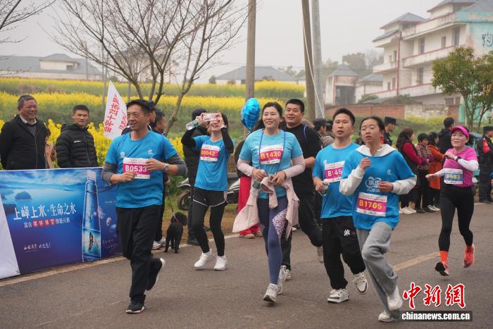 賭博：近3000名選手暢跑金色花海 江西瑞昌第六屆鄕村花海健康跑開跑